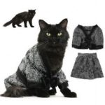Одежда для котов для начинающих